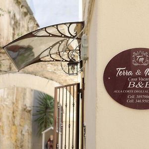 Alla Corte Degli Alberolungo